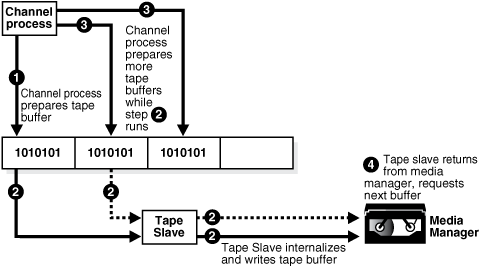 Description of Figure 23-6 follows