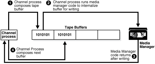 Description of Figure 23-5 follows