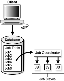 Description of Figure 21-8 follows