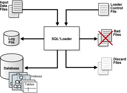 Description of Figure 21-1 follows