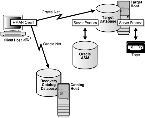 Description of Figure 21-3 follows