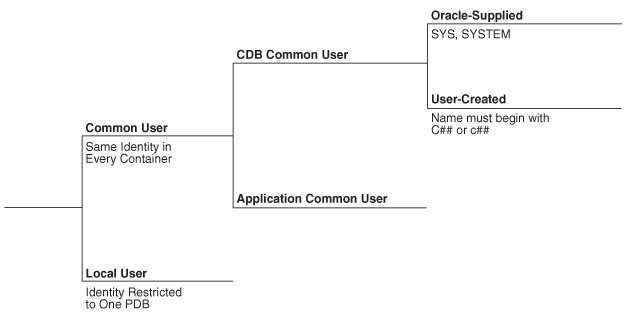 Description of Figure 19-6 follows