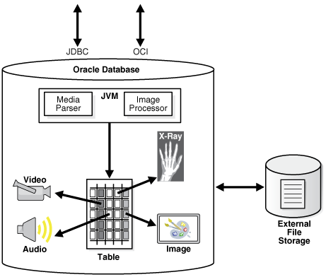 Description of Figure 1-1 follows