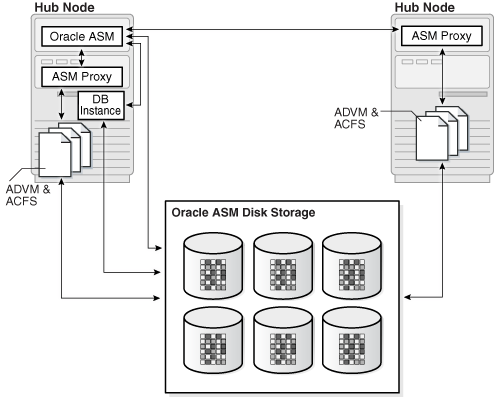 Description of Figure 19-2 follows