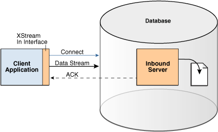 Description of Figure 1-2 follows